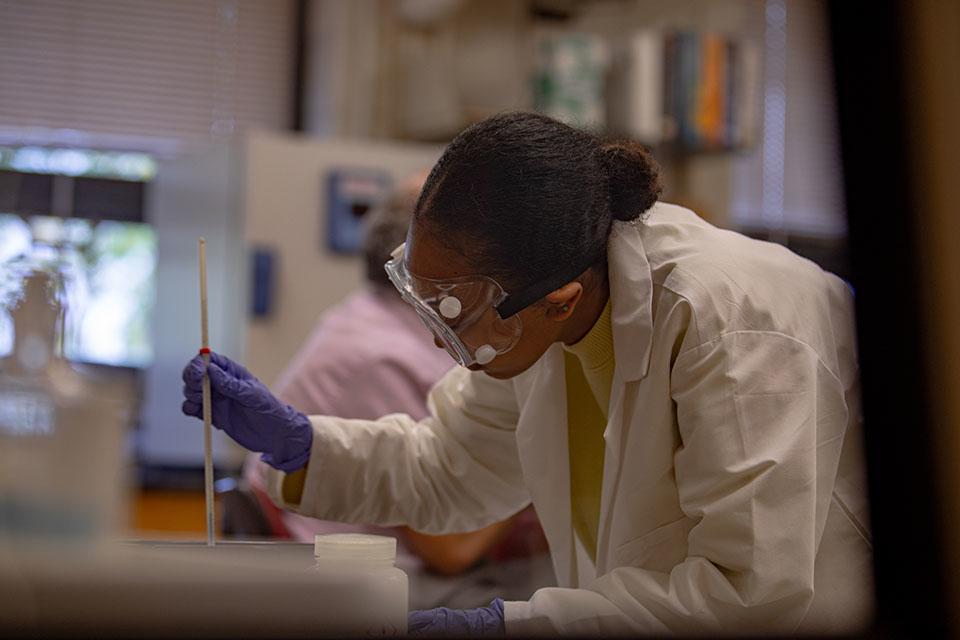 Female student working in a UMN Crookston lab